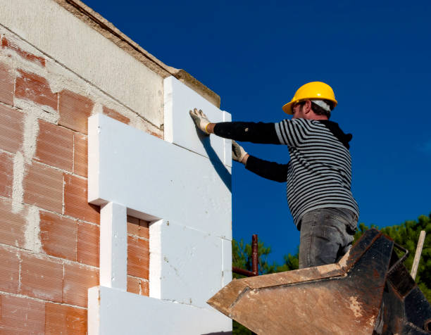 Best Geographic-Specific Insulation Services in St Charles, IL