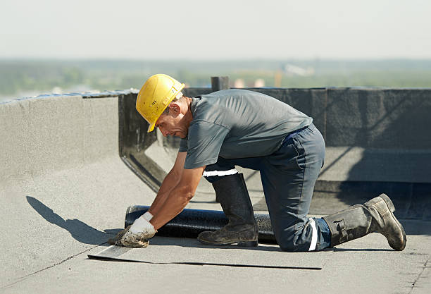 Best Cellulose Insulation in St Charles, IL
