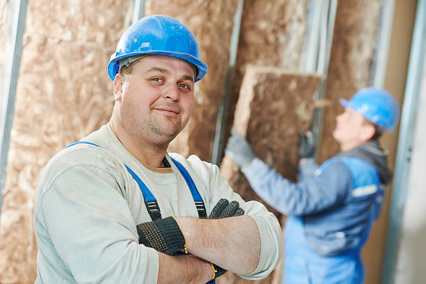 Best Eco-Friendly Insulation in St Charles, IL