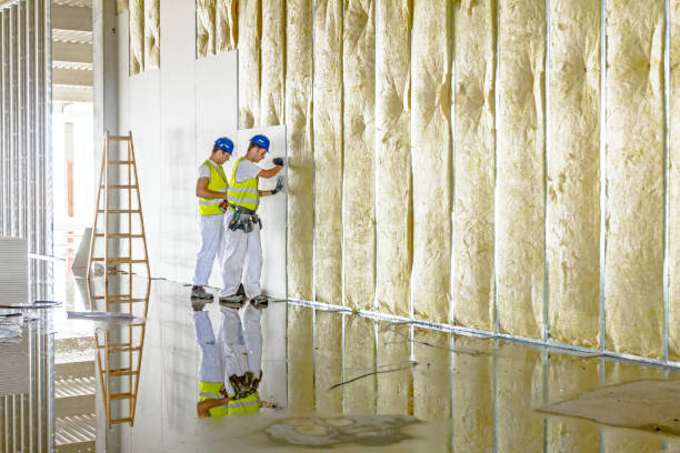 Best Commercial Insulation in St Charles, IL